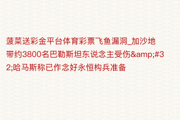 菠菜送彩金平台体育彩票飞鱼漏洞_加沙地带约3800名巴勒斯坦东说念主受伤 哈马斯称已作念好永恒构兵准备